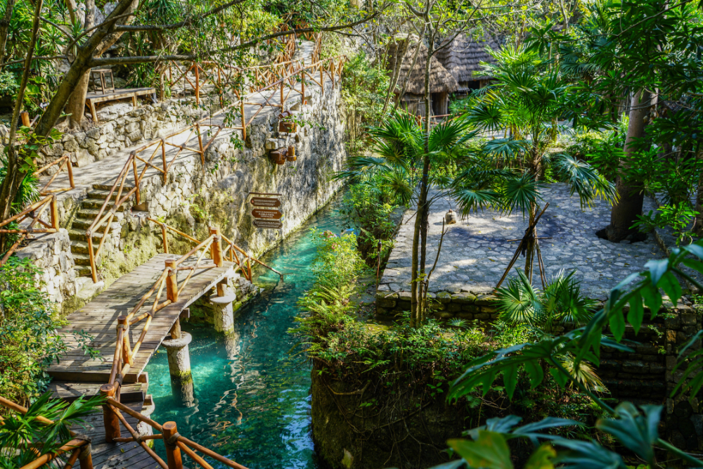 Arte, Mar y Paraíso: Xcaret Arte + Holbox Premium